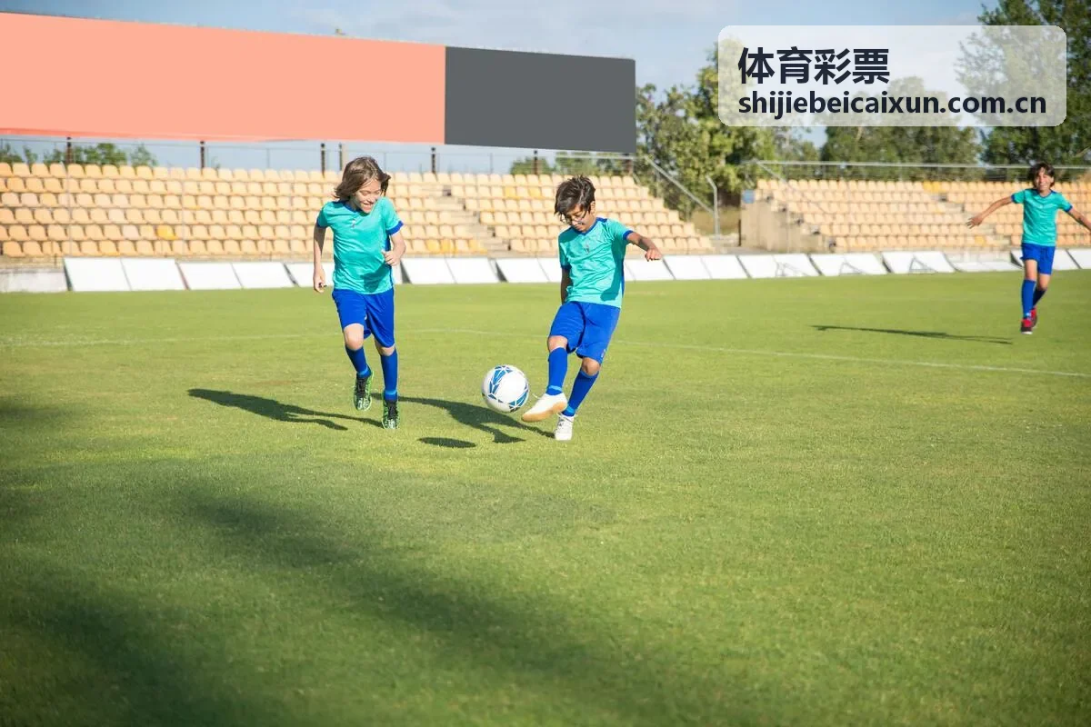 体育彩票开奖服务与正规信息核验